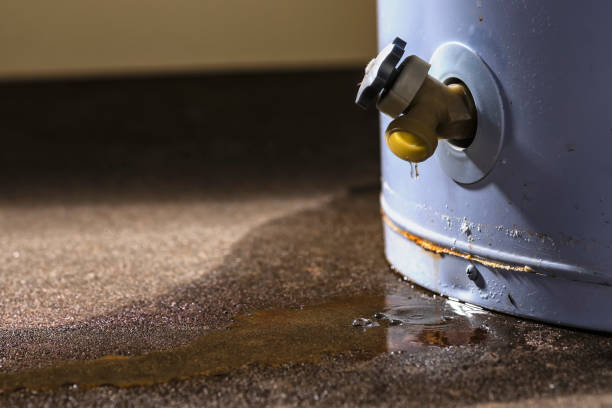 Best Water damage restoration experts  in Rural Retreat, VA