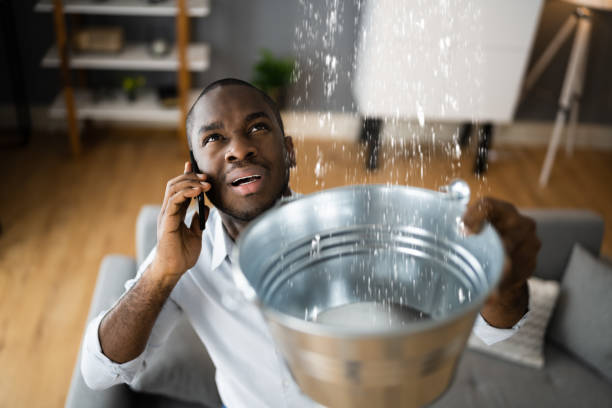 Best Water damage cleanup near me  in Rural Retreat, VA