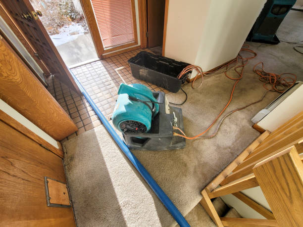 Best Flood damage cleanup  in Rural Retreat, VA