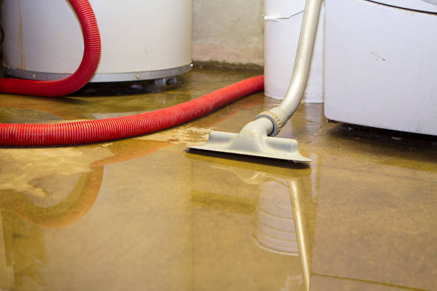 Best Water damage cleanup near me  in Rural Retreat, VA