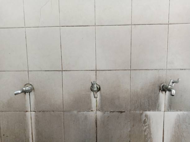 Best Sewage cleanup and water damage restoration  in Rural Retreat, VA