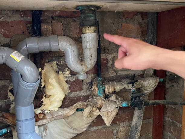 Best Basement water damage restoration  in Rural Retreat, VA