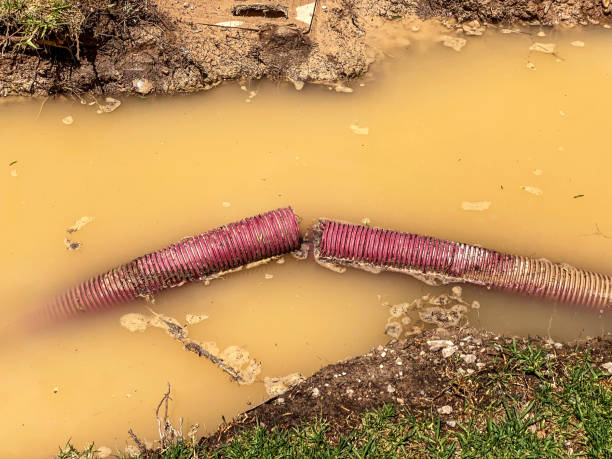 Best Mold removal after water damage  in Rural Retreat, VA