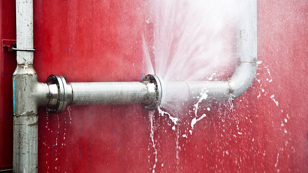 Water damage restoration mold remediation in Rural Retreat, VA